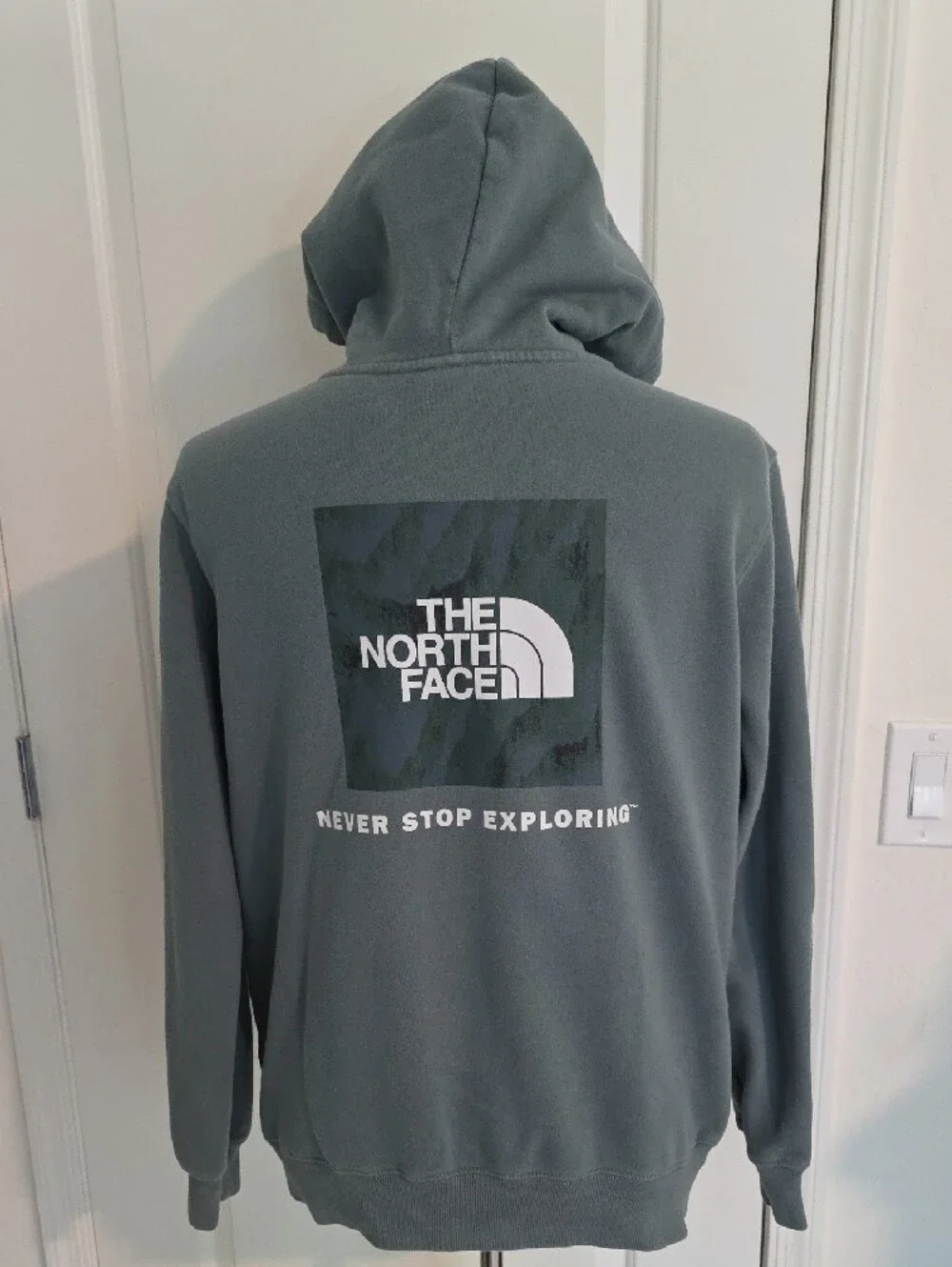 The North Face Men's Hooded Sweatshirt in Slate Green